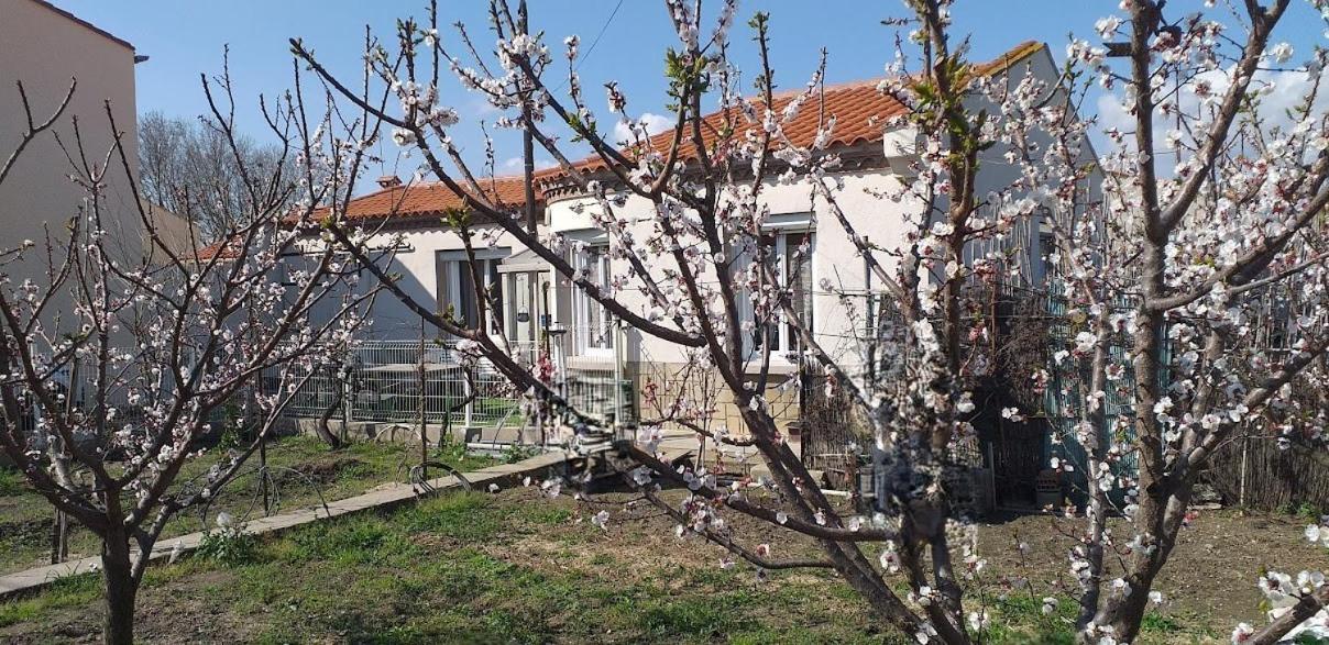 La Maison Du Bonheur 萨朗科的圣洛朗 外观 照片